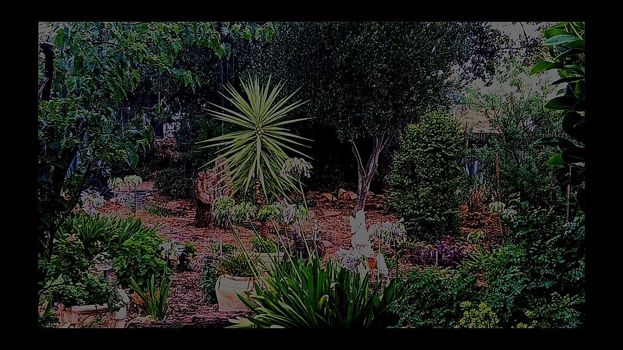 Winter in Australia - RAIN and distant thunder ambience.