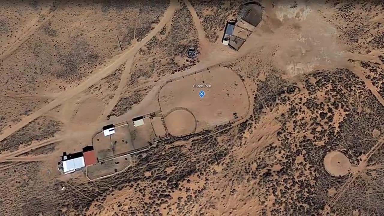 Gathering Feral Horses On the Navajo Nation!