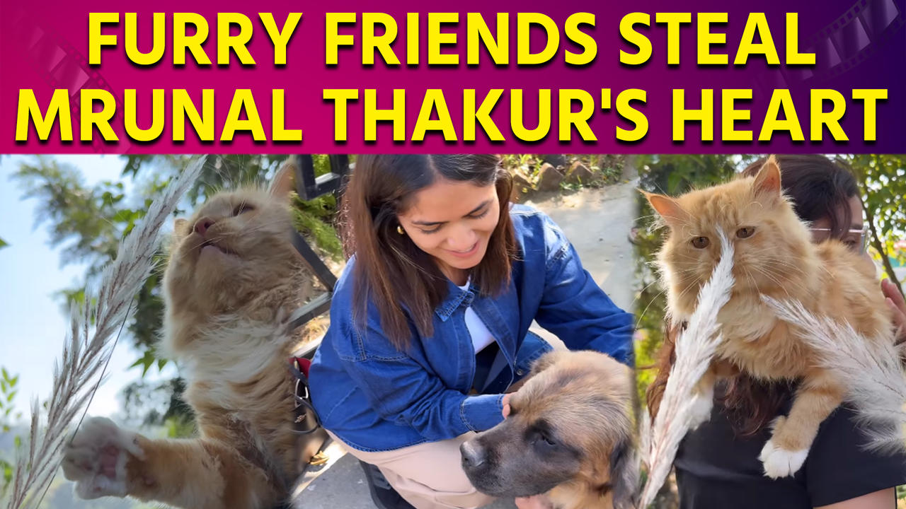 Mrunal Thakur meets special furry-friends in Uttrakhand