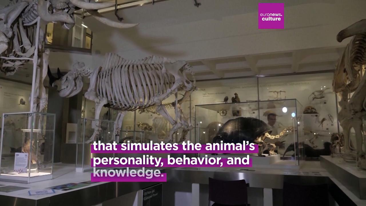 Extinct no more: AI is bringing the dodo back to life (kinda) at a museum in Cambridge