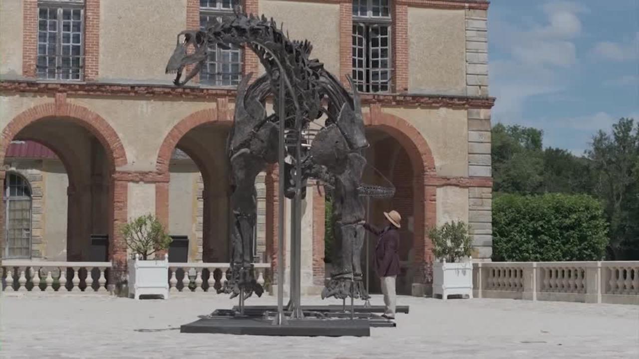 World's Largest Dinosaur Skeleton Set for Auction in France