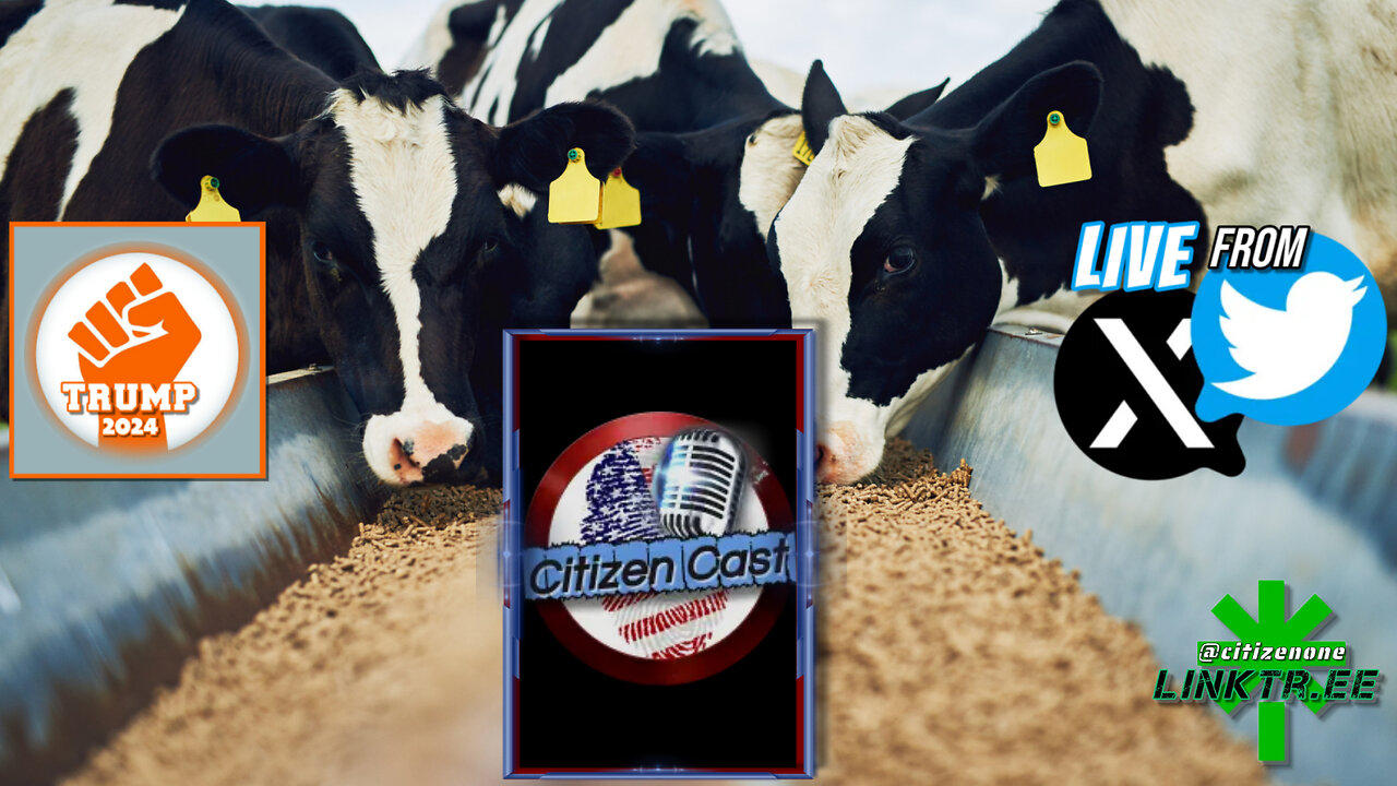 #CitizenCast Presents... The Feed, Citizen News