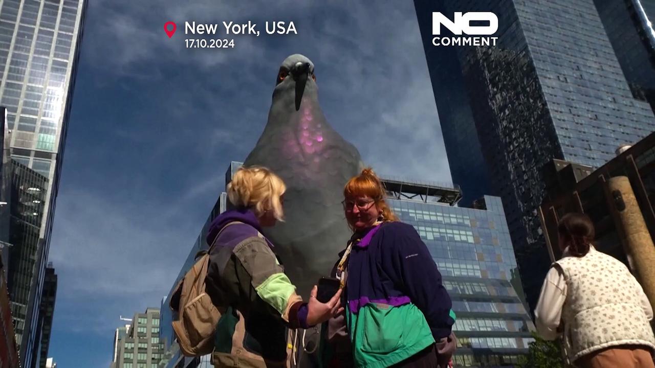 Giant sculpture of a pigeon in New York has the city in a flutter