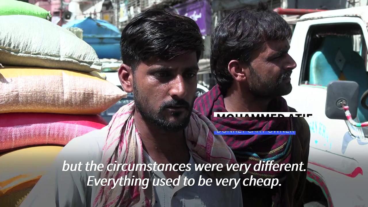 Modern pressures burden Pakistan's donkey business