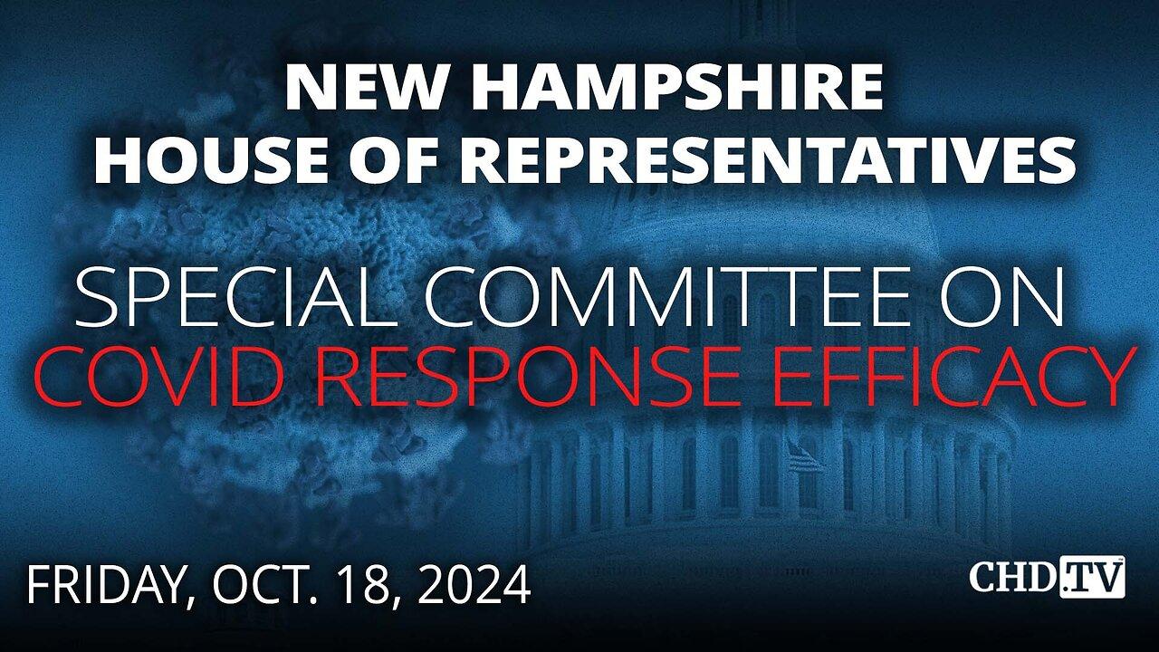 NH House Special Committee on COVID Response Efficacy | Oct. 18