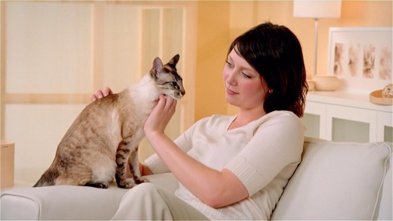 Why Owning a Cat Is Purr-Fect for Your Physical and Mental Health