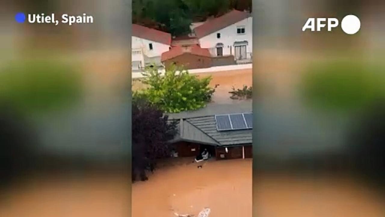 Dog owner rescued with pet from floods in Spain