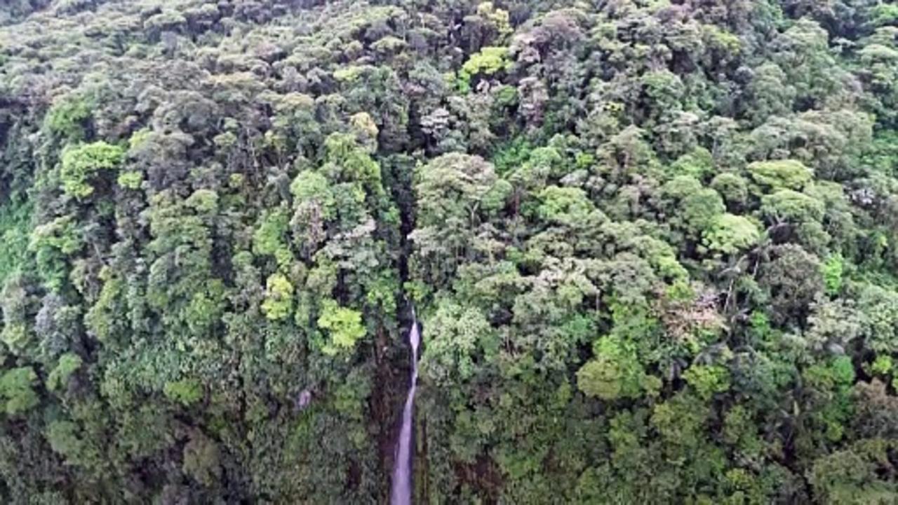 Colombia's Awa Indigenous people, defenders of the jungle struggling to survive