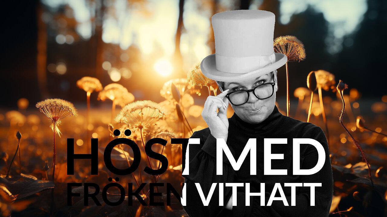 Live - Höst med fröken vithatt 26 sept 2024