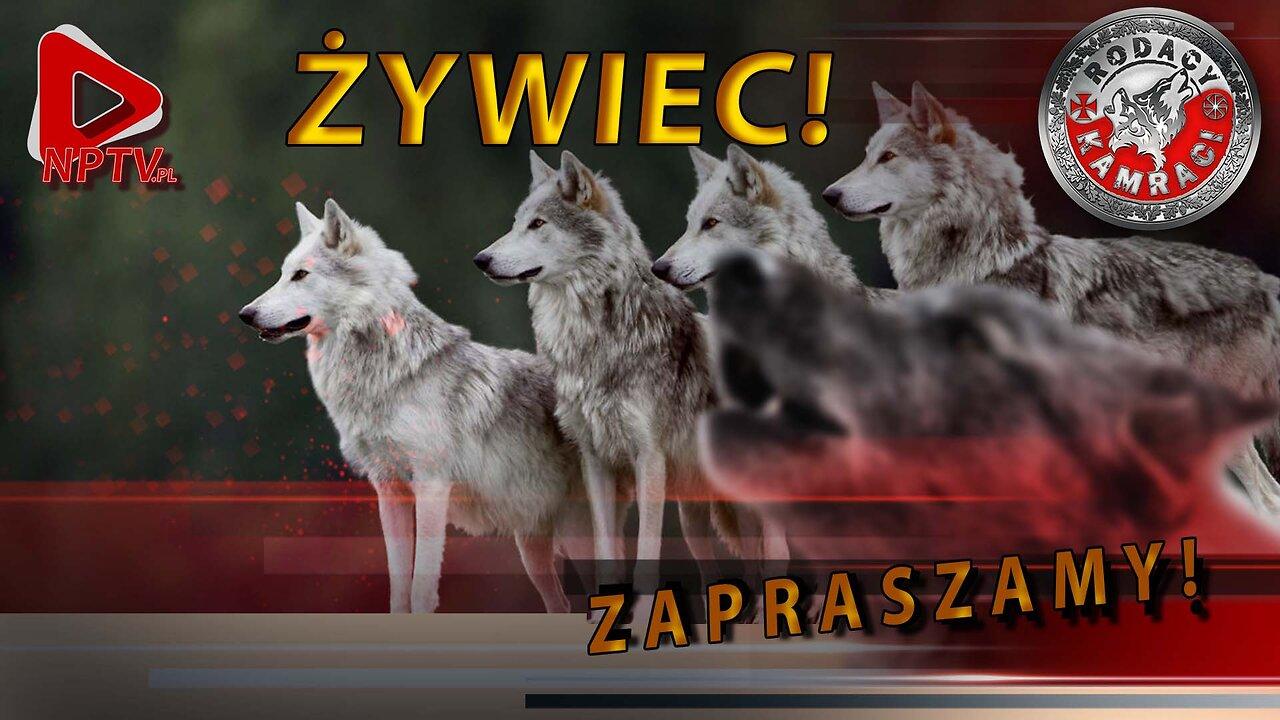 Na Przemyśl za 9 dni. Sob. 2.11.2024r. W. Olszański, M. Osadowski Rodacy Kamraci NPTV.pl