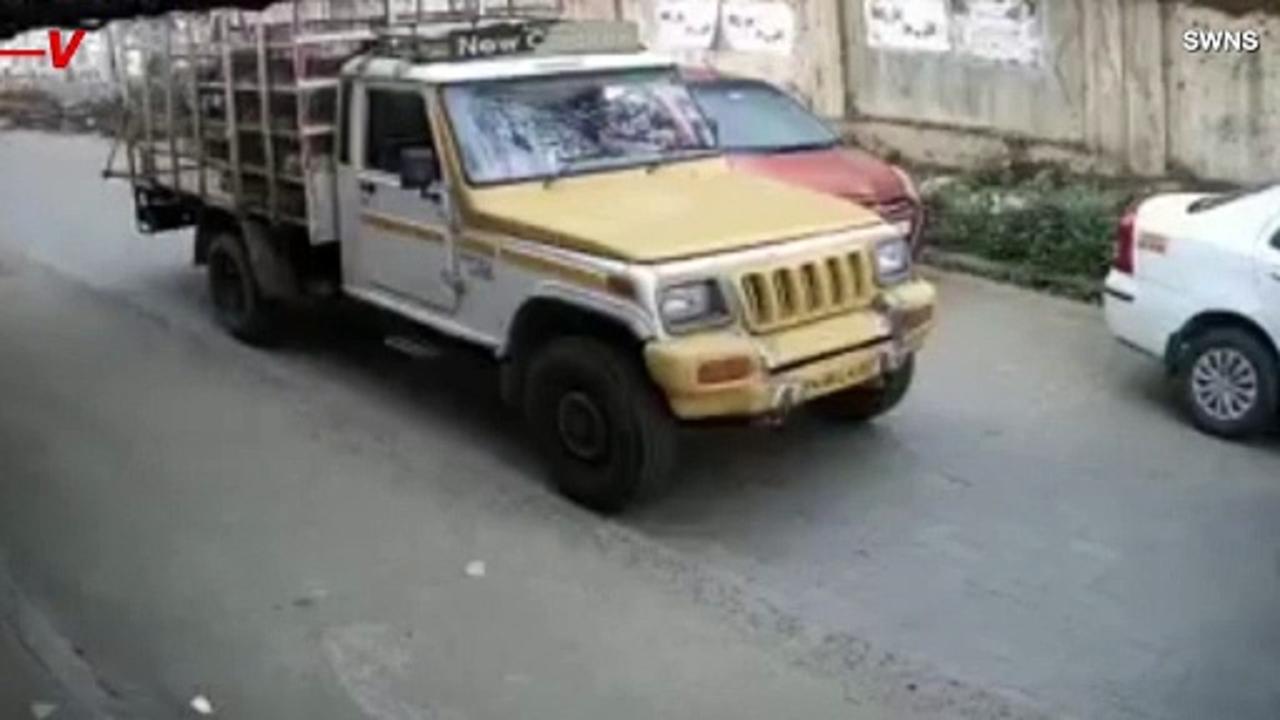 You Have To See This Elephant Charge a Truck on a Very Busy City Street in India