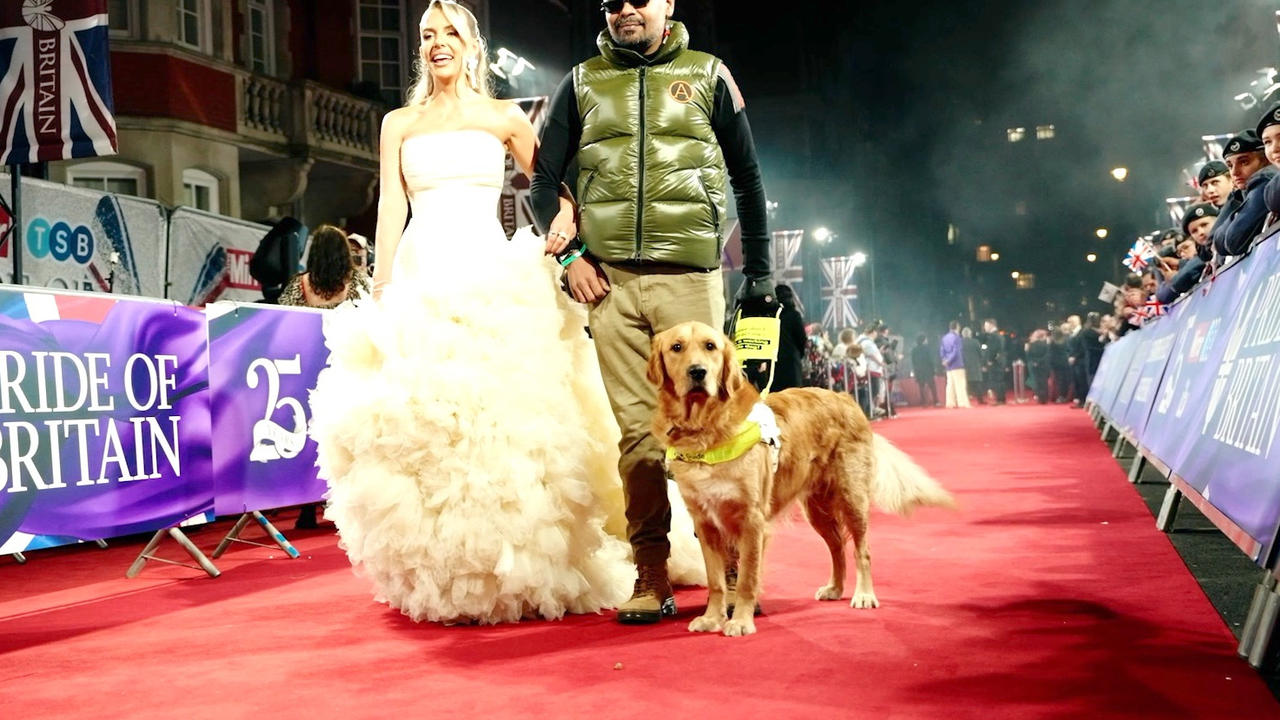 Guide Dog Bill Makes Surprise Red Carpet Appearance in London