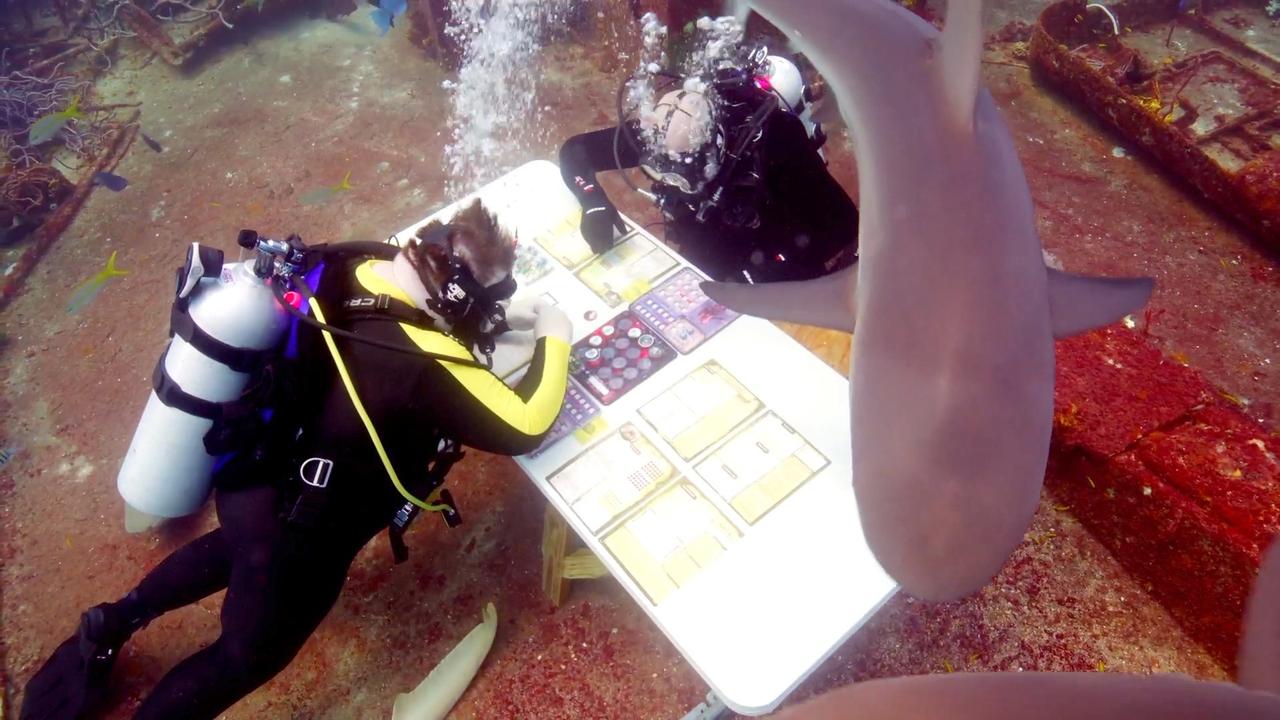 Would You Scuba Dive in Shark Infested Water Just to Play a Board Game? These Daredevils Did Just That