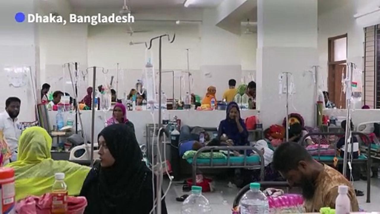 Spread of dengue fever in Bangladesh worries medics