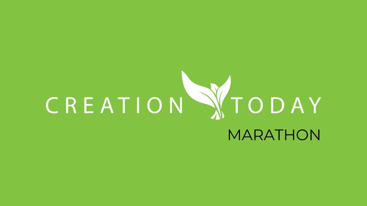 Creation Today Streaming Now: Grand Canyon Marathon