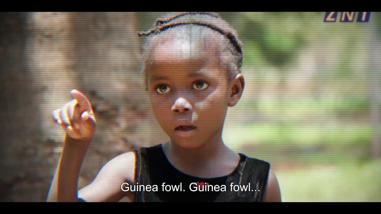 On Becoming A Guinea Fowl Movie