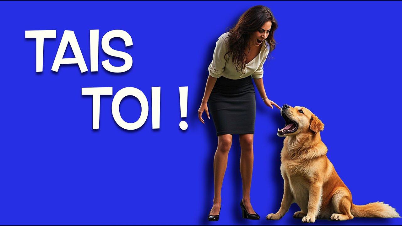 ✨ 10 trucs pour arrêter ton chien de japper ! ✨