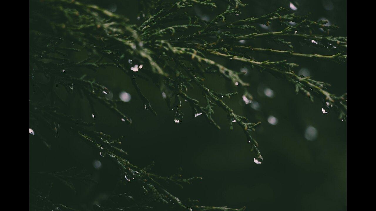 a sound for you to meditate, relax or have a peaceful sleep