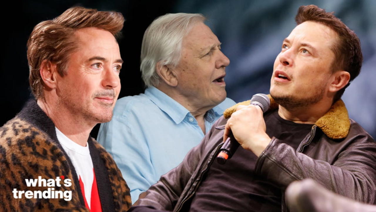 Robert Downey Jr., David Attenborough, & More  Weigh In on the Perils & Promise of AI