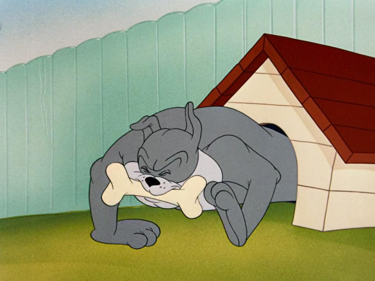 MGM Cartoons - 1950x10 - The Framed Cat