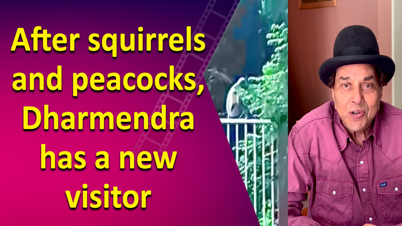 After squirrels and peacocks, Dharmendra has a new visitor