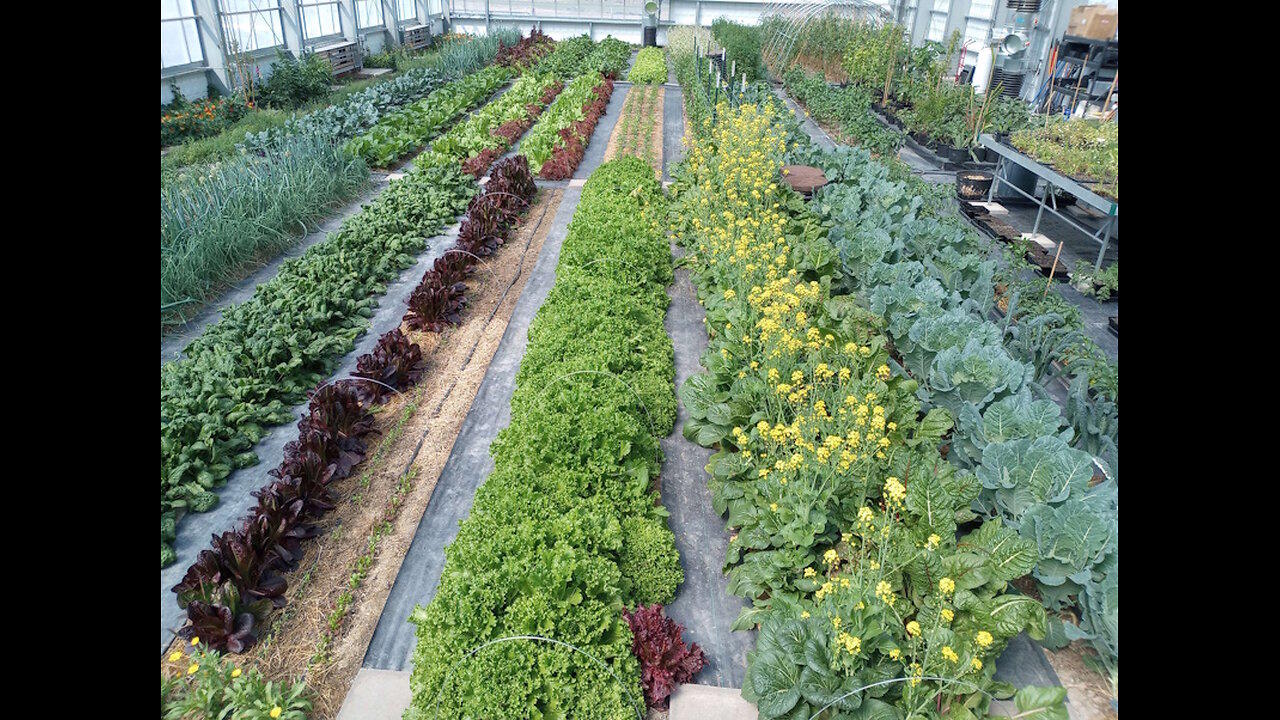Nutrient Farm Scenery #42 - Nutrient Farm NorthWest