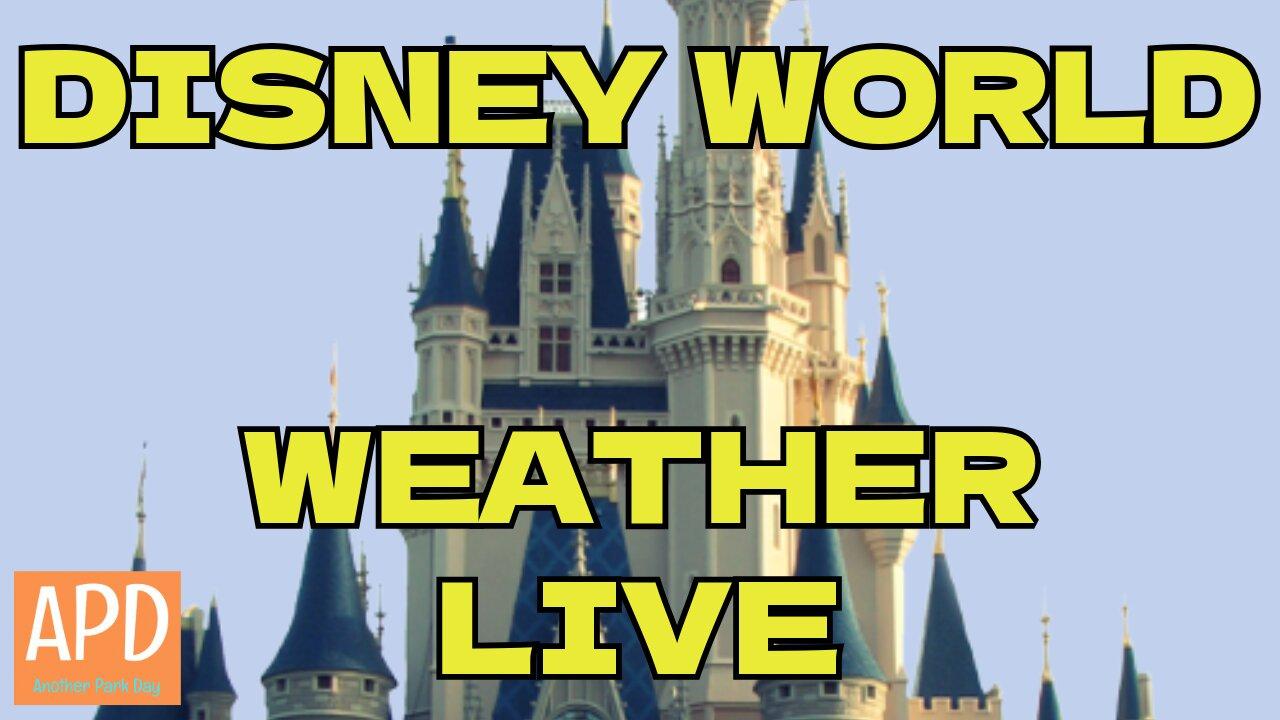 Disney World Weather Channel LIVE with Relaxing Christmas Music