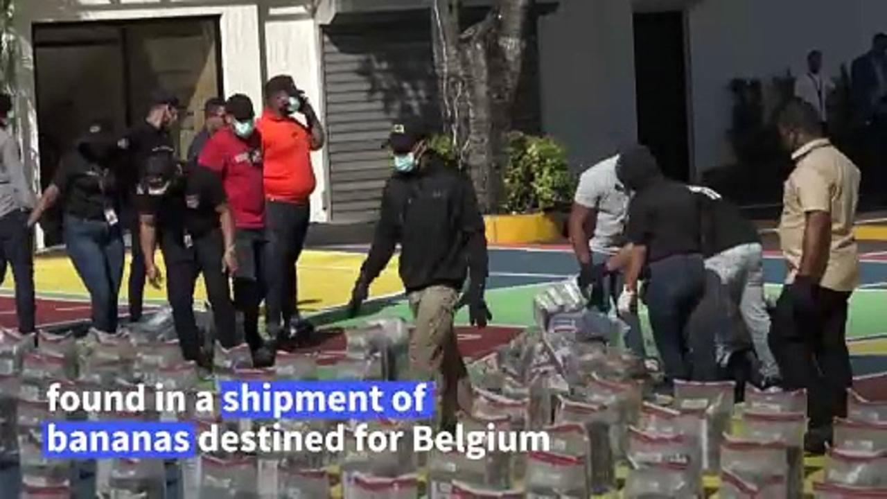 Dominican authorities make largest cocaine seizure in the country's history