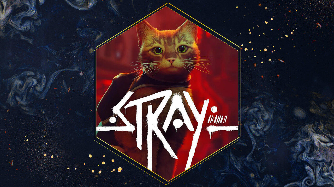 Stray #TogetherForGood !charity stream for Wags & Whiskers Animal Rescue // 🐈 100% Pure Gaming Goodness with @theGreatBea