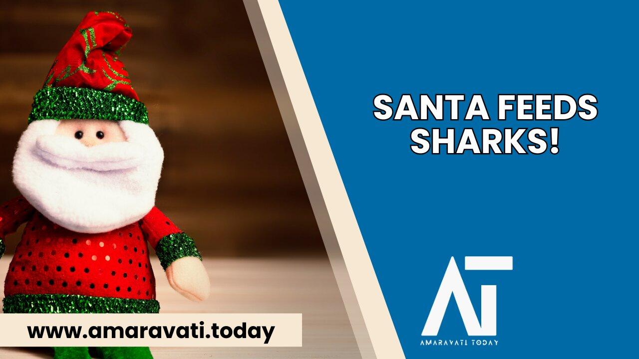 Diving Santa Delivers Fishy Christmas Gifts to Sharks in Hungary | Amaravati Today