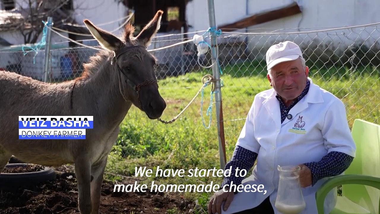 'Taste of love': Albanian farmers face exploding demand for donkey milk