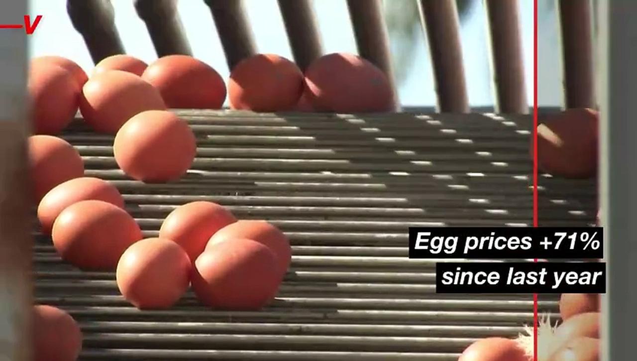 Egg Prices Are Up–and Not Just Because of Inflation