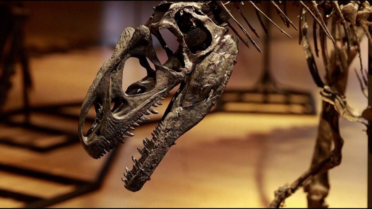 These Dinosaur Skeletons Just Sold for Millions