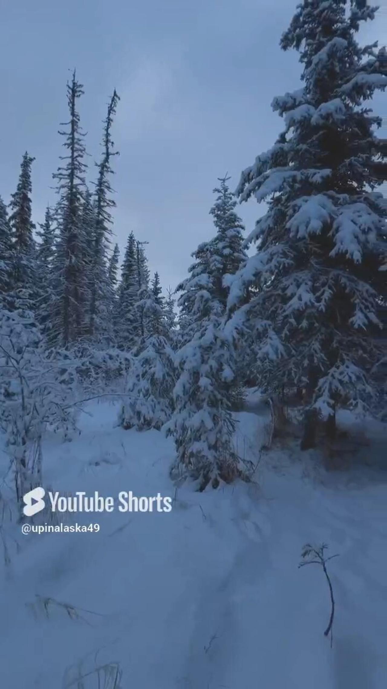 Magical Feeling #Subscribe #Alaska #Outdoors #Nature #Winter #Hiking #Frozen #Mountains #Forest