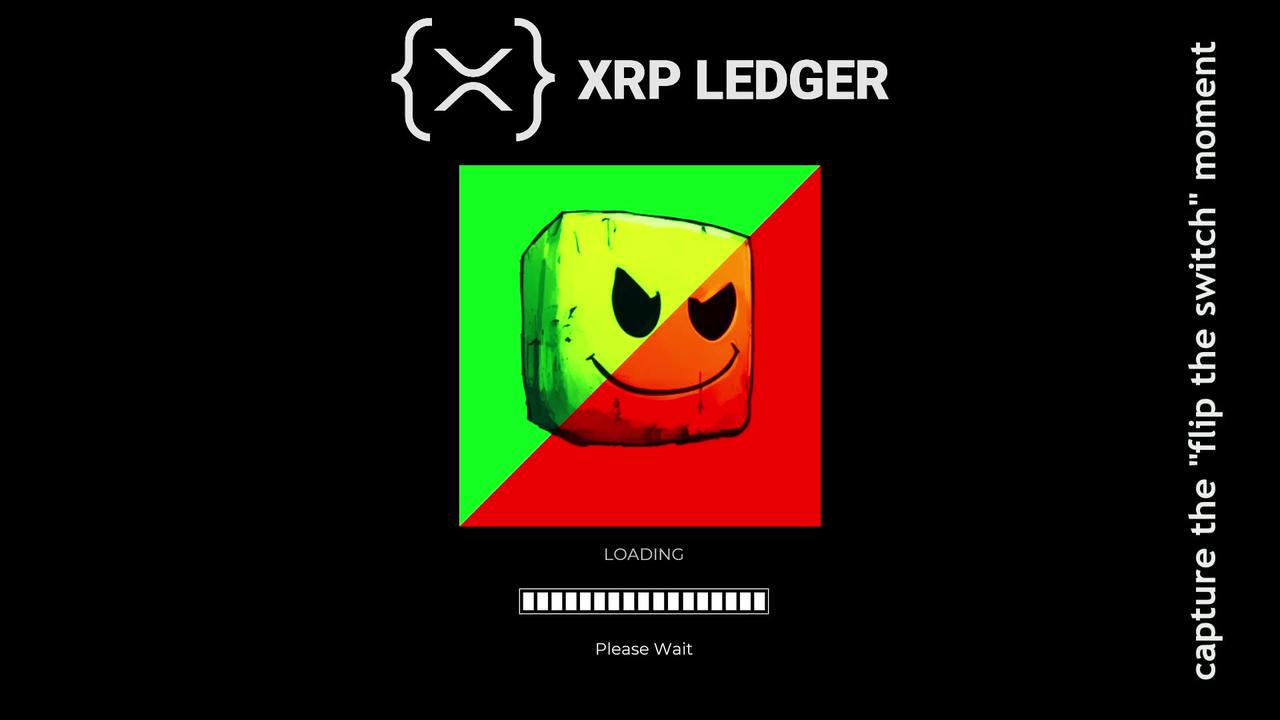 XRP price and XRPL data livestream