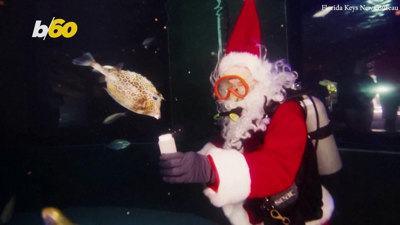 Check Out This Santa As He Swims with the Fish in Florida!