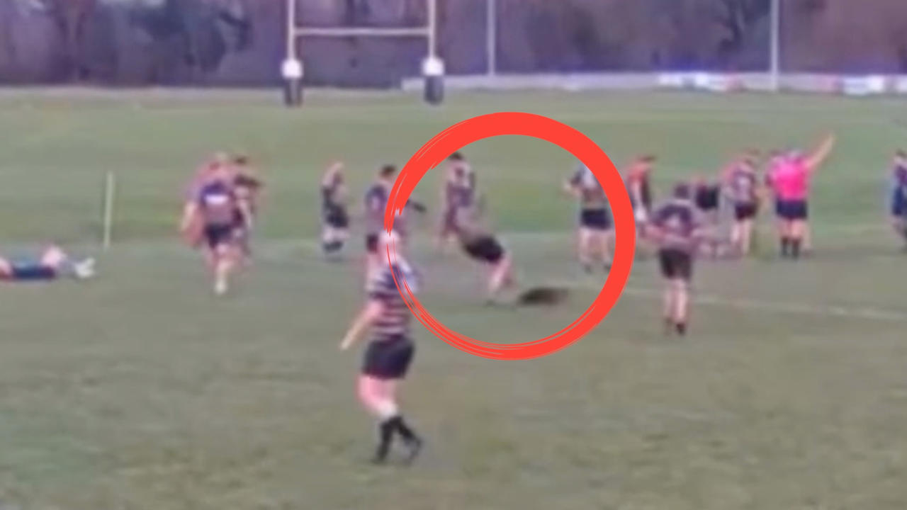 Must See! Tiny Deer Takes Down Rugby Player Mid-Match