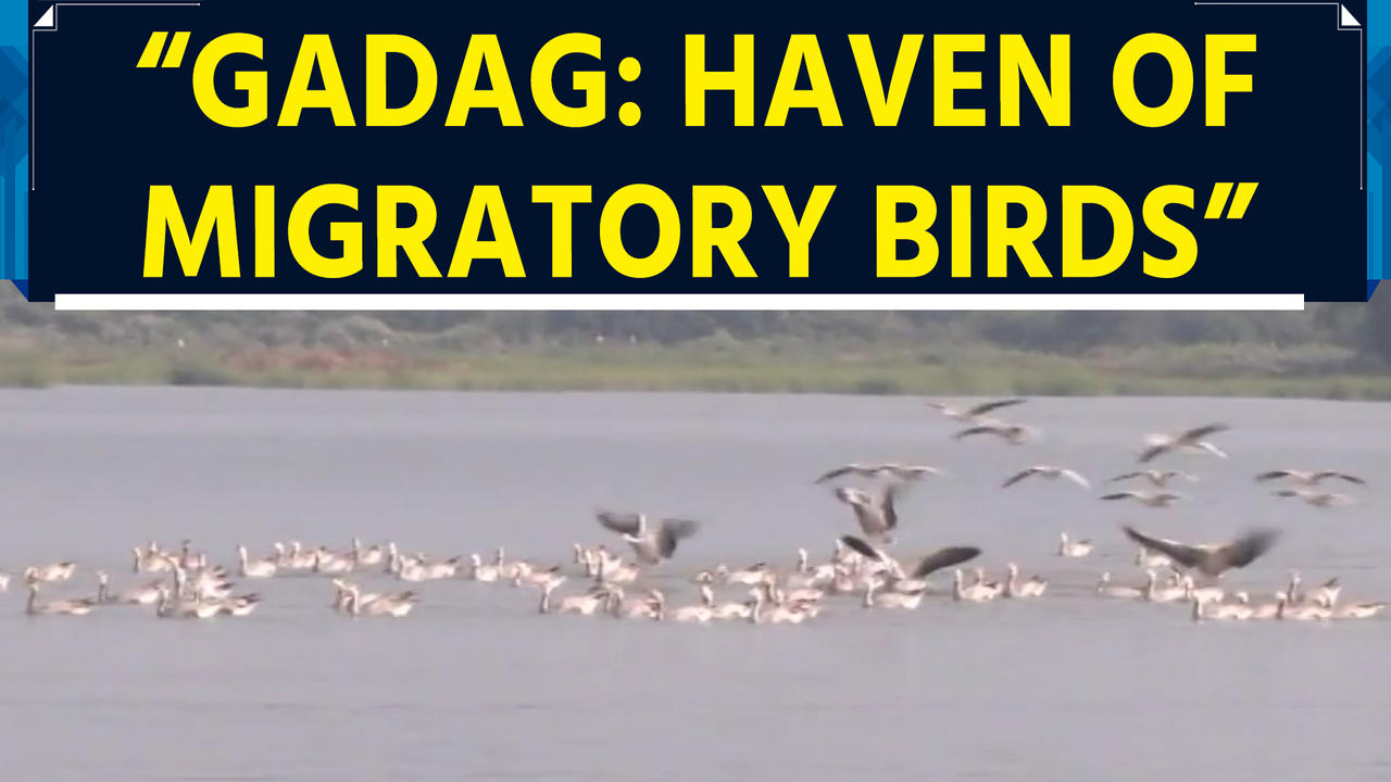 Karnataka: Gadag’s Magadi lake: A colourful paradise for bird lovers