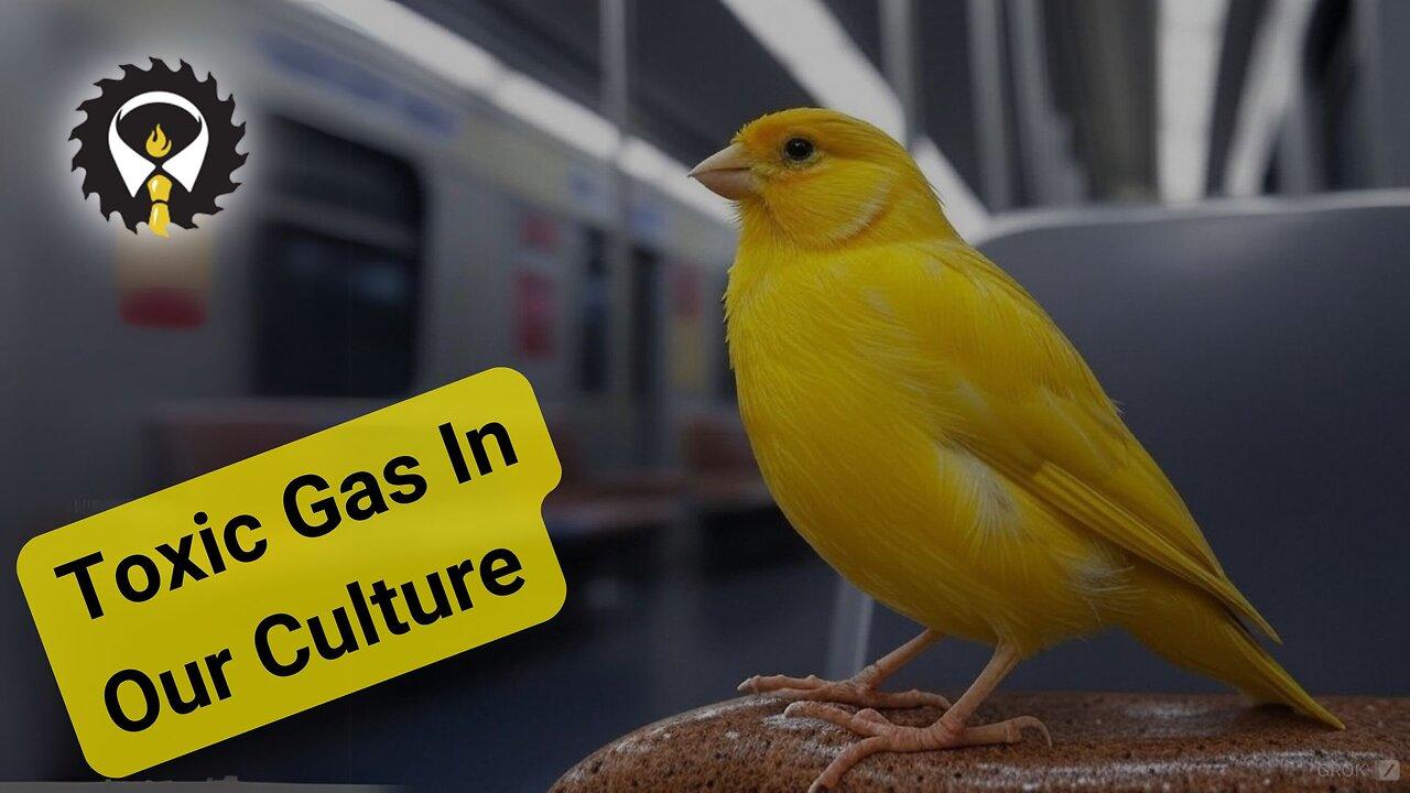 430 - NYC Subways - A Canary In The US Culture Mine