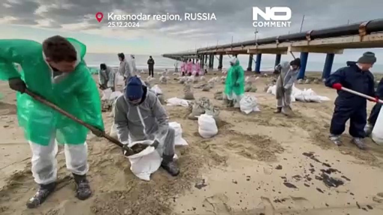 More than a thousand birds saved from pollution in the Black Sea