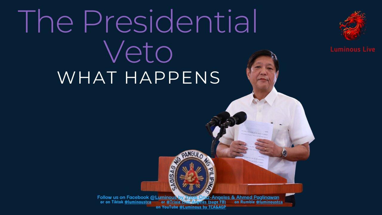 The Presidential Veto