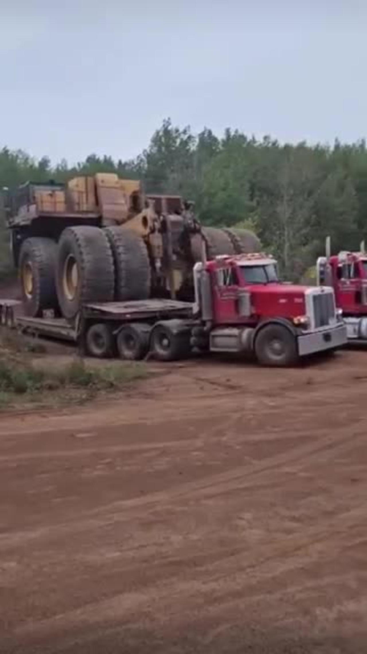 big car mutant truck