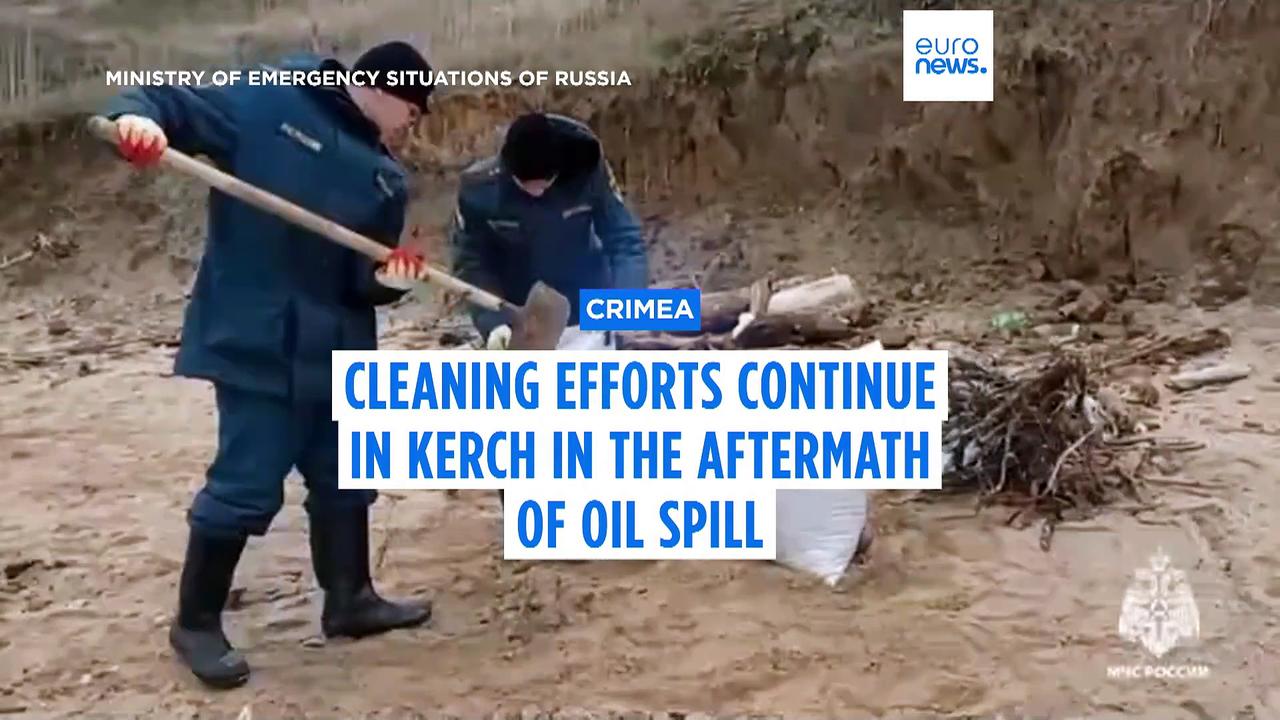 Oil spills in Russian-occupied Crimea are an 'ecological disaster'