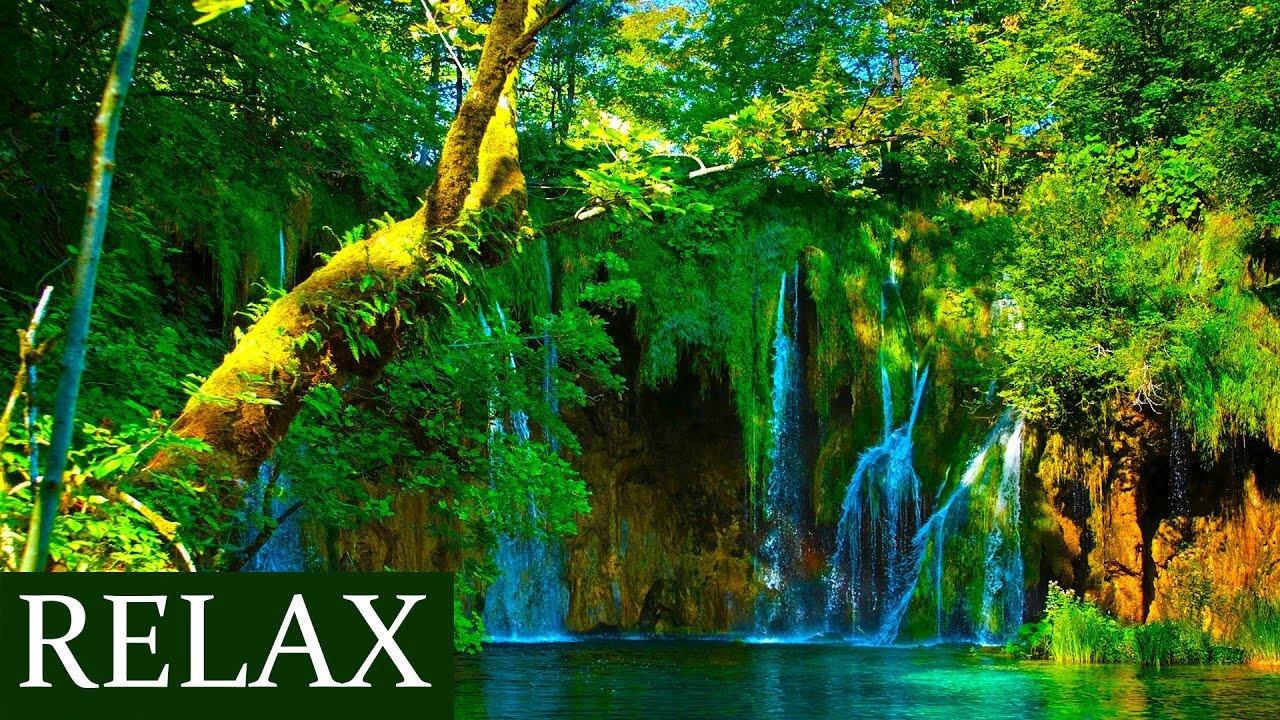 flying over new zealand relaxing music