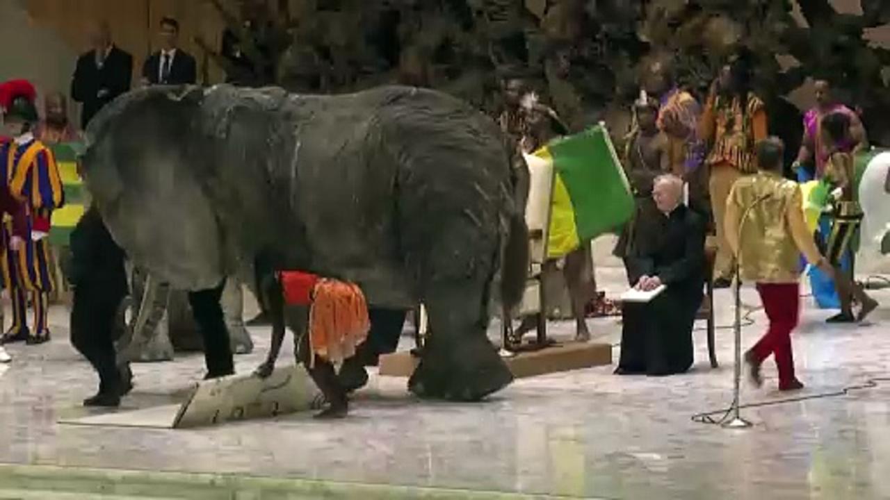 Pope Francis watches circus show during general audience