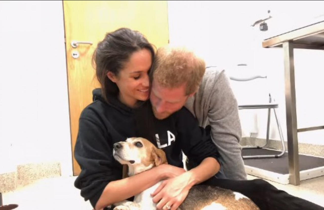 Meghan, Duchess of Sussex has announced the death of her rescue dog