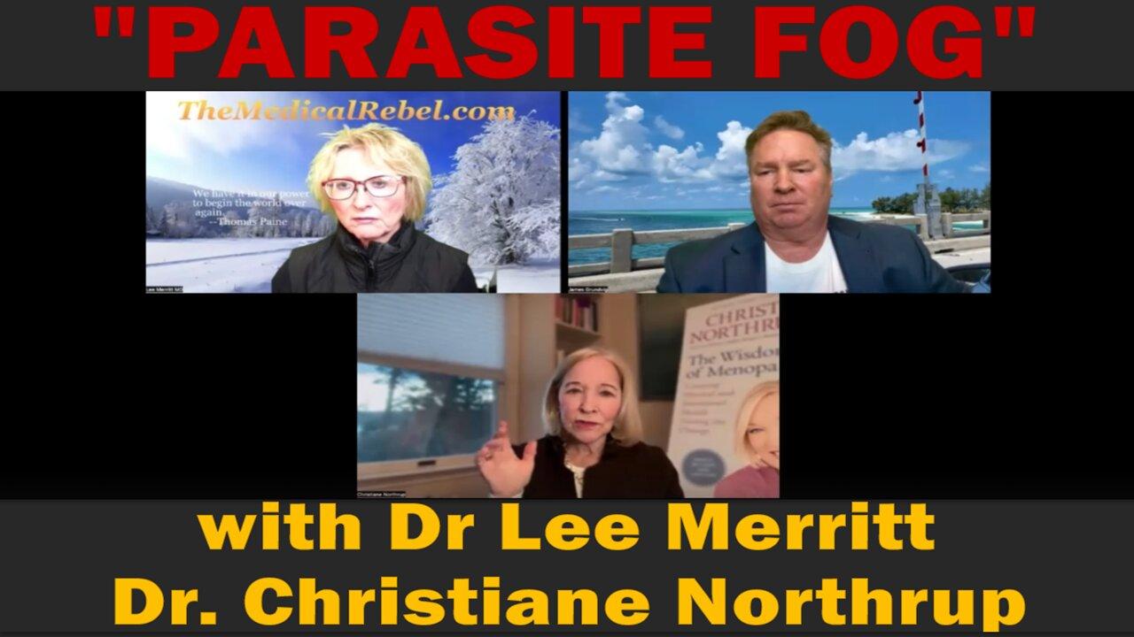 "PARASITE FOG" with Dr Lee Merritt, Dr. Christiane Northrup | Update Latest News.