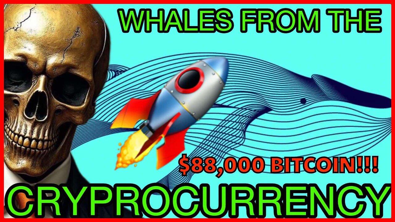 $88K BTC & $2800 ETH!!! Whales wearing a BEAR costume to set up BULLISH scearios!!!