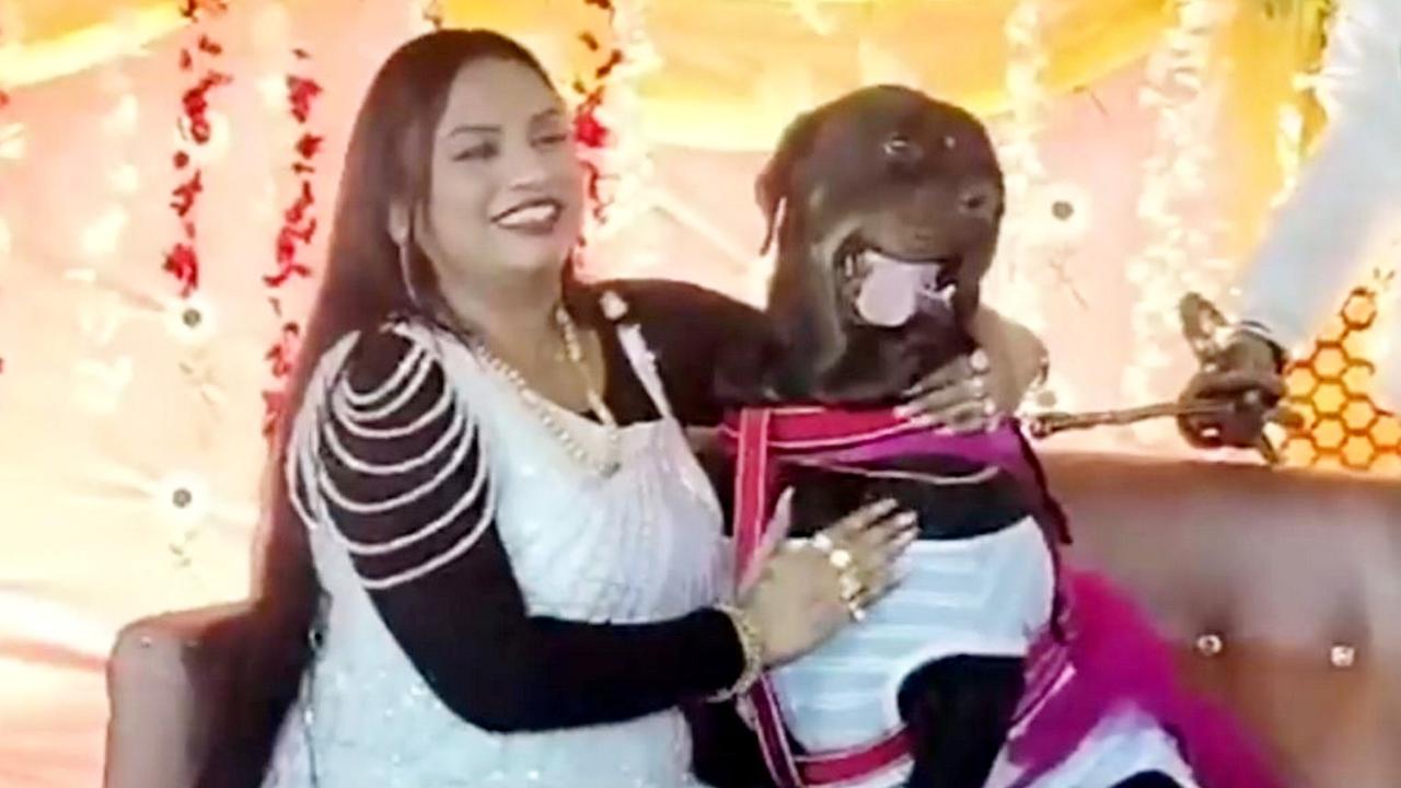 Must See! India’s Most Extravagant Dog Birthday Party