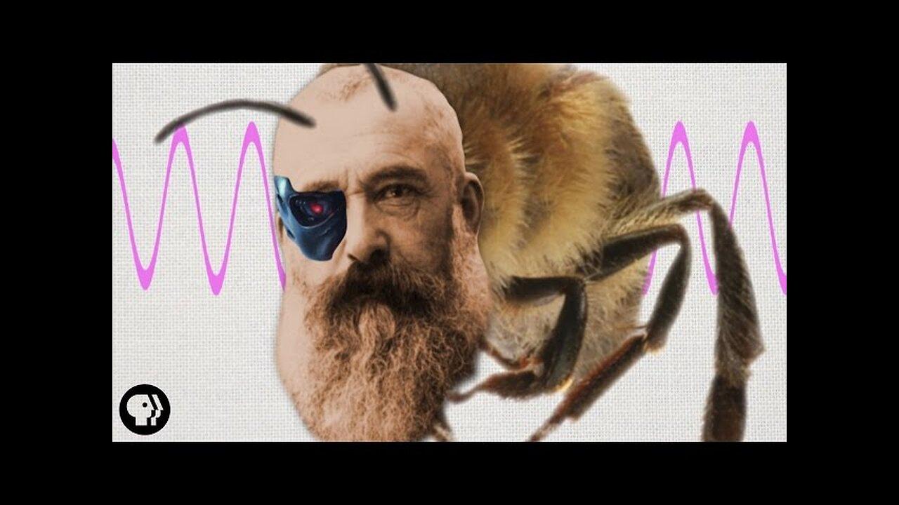 How Artist Claude Monet Was Kind Of Like a Honeybee